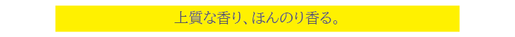 毛髪内部にアプローチ!